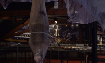Halloween 2019