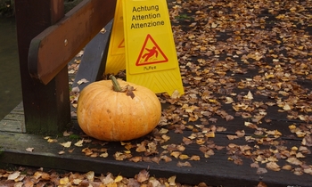 Halloween 2019