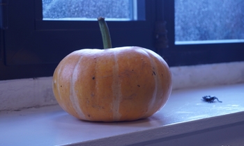 Halloween 2019