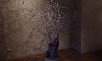 Expo "Libres"