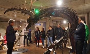 SOIRÉE DU MUSÉE 29.11.2018